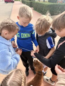Schatten zoeken - Geocachen