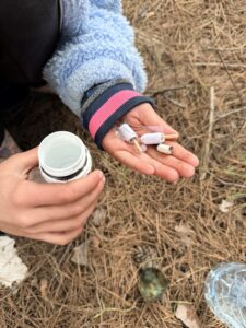 Schatten zoeken - Geocachen