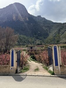 Wandelen in Cieza – tussen bloesem, bergen en herinneringen