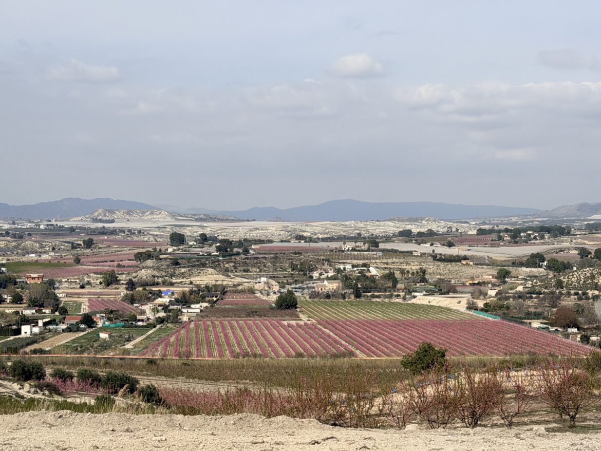 Wandelen in Cieza – tussen bloesem, bergen en herinneringen