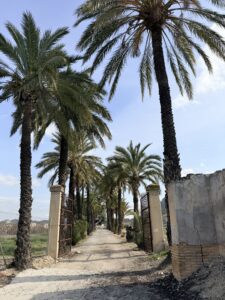 Wandelen in Cieza – tussen bloesem, bergen en herinneringen