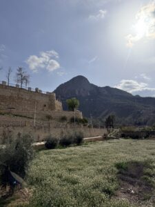 Wandelen in Cieza – tussen bloesem, bergen en herinneringen