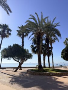 10 tips om te doen in Los Alcázares