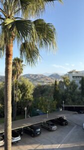Motril met kinderen: verrassend leuk aan de Costa Tropical