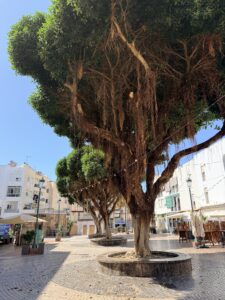 Nerja: de plek die ons echt verraste.